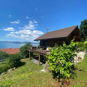 Chalet Le Petit Des Greys, Meillerie